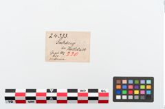 Etiketten zu Eisengriffangelmesser (NHMW-PRAE-024333)